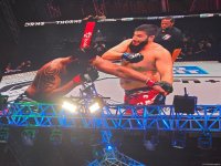 UFC