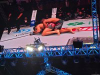 UFC