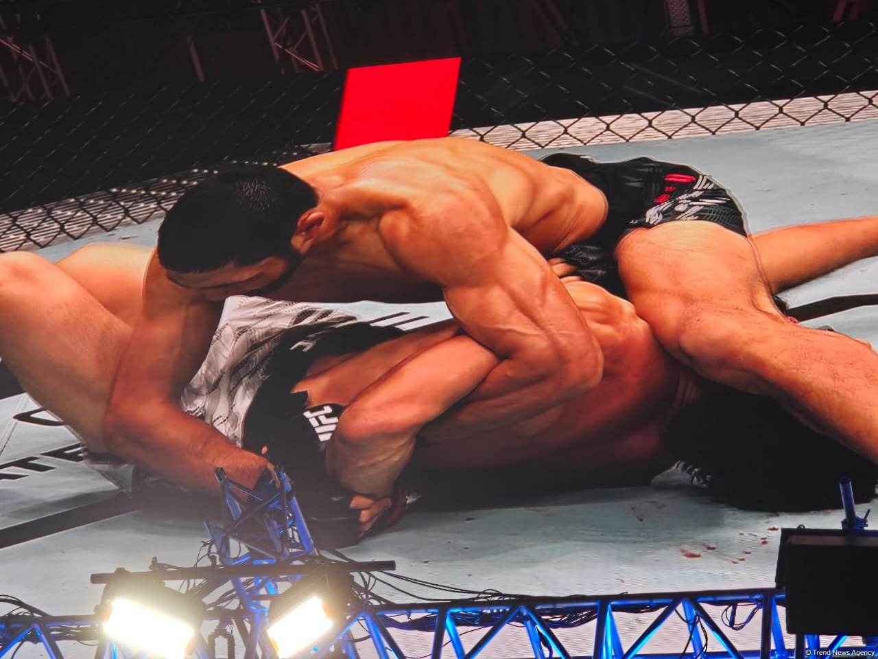 UFC