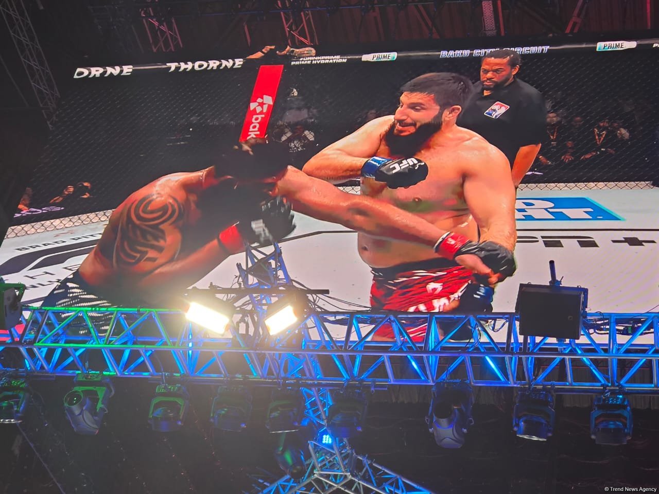 UFC