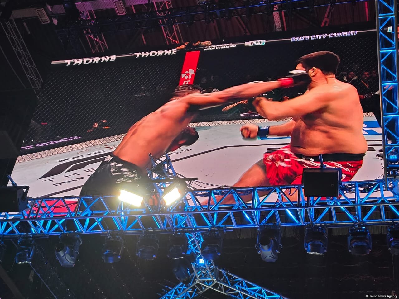 UFC