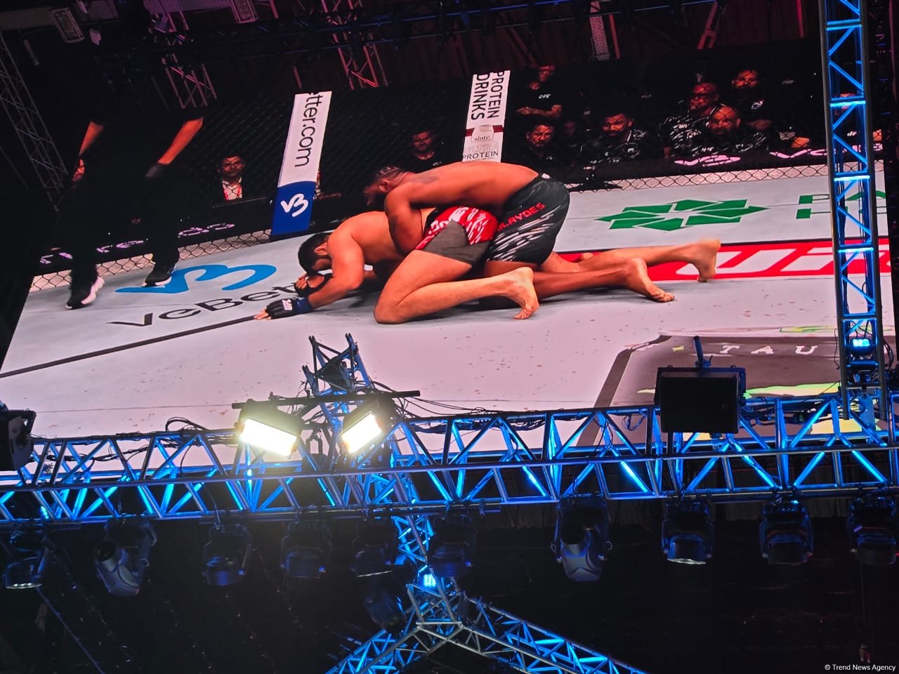 UFC