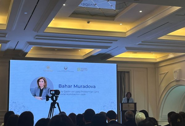100-dən çox gənc qız dəstək proqramından yararlanıb - Bahar Muradova