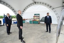 Prezident İlham Əliyev Yevlax pilot aqroparkının açılışında iştirak edib (YENİLƏNİB) (FOTO)