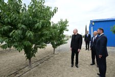 Prezident İlham Əliyev Yevlax pilot aqroparkının açılışında iştirak edib (YENİLƏNİB) (FOTO)