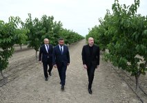 Prezident İlham Əliyev Yevlax pilot aqroparkının açılışında iştirak edib (YENİLƏNİB) (FOTO)