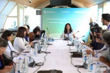 Bakıda beynəlxalq ekspertlər konfransı keçirilir (FOTO)