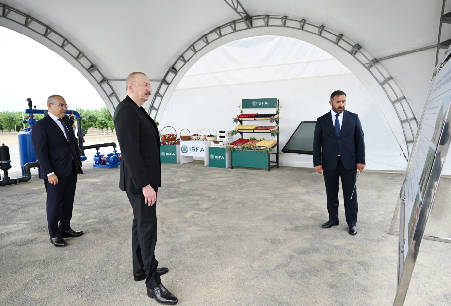 Prezident İlham Əliyev Yevlax pilot aqroparkının açılışında iştirak edib (YENİLƏNİB) (FOTO)