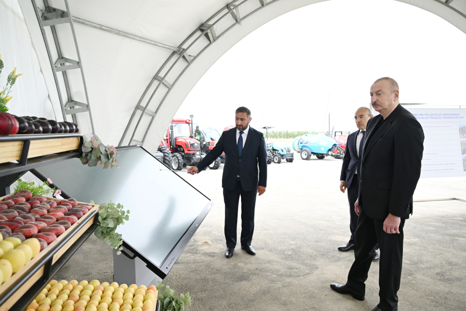 Prezident İlham Əliyev Yevlax pilot aqroparkının açılışında iştirak edib (YENİLƏNİB) (FOTO)