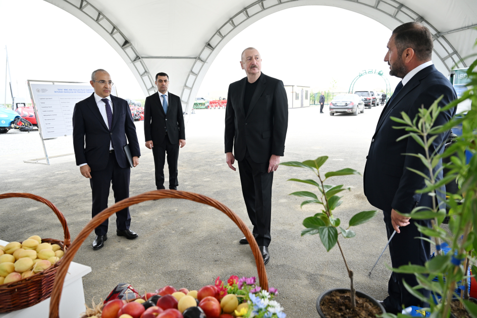 Prezident İlham Əliyev Yevlax pilot aqroparkının açılışında iştirak edib (YENİLƏNİB) (FOTO)
