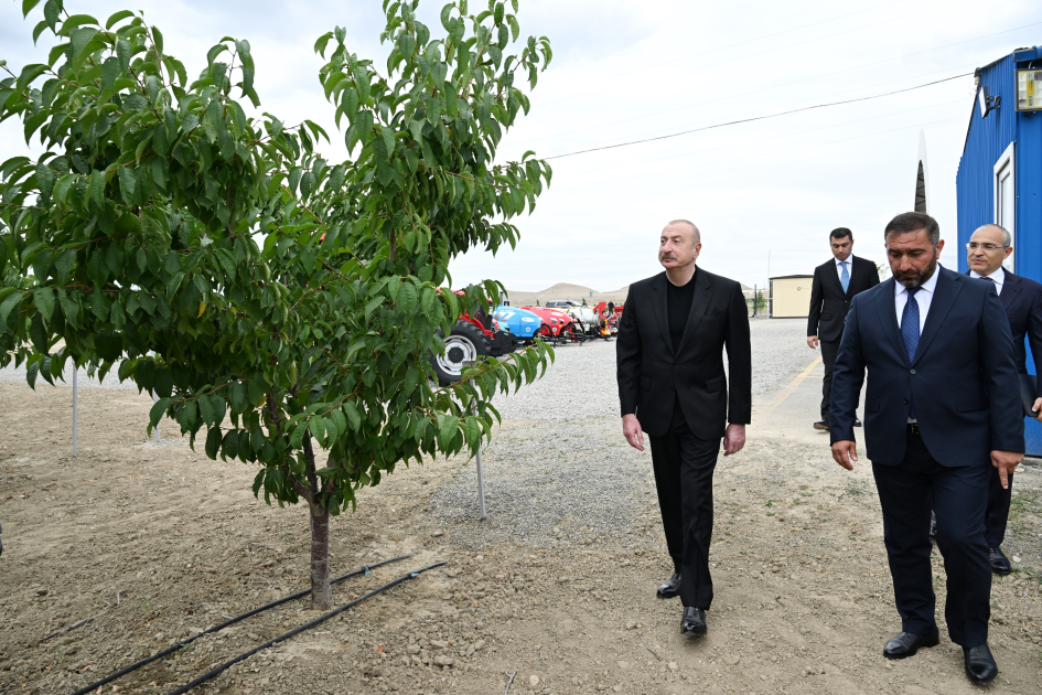 Prezident İlham Əliyev Yevlax pilot aqroparkının açılışında iştirak edib (YENİLƏNİB) (FOTO)