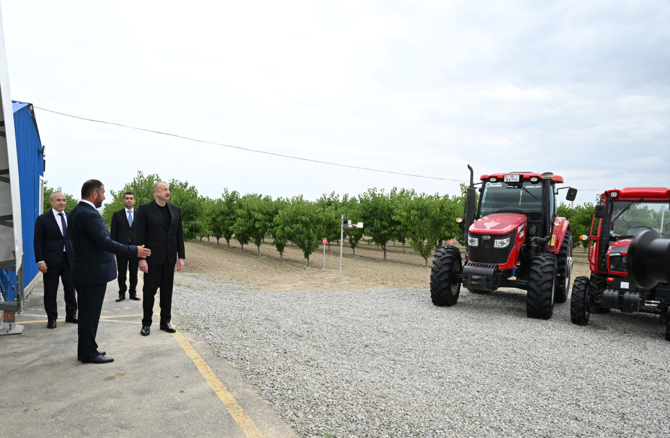 Prezident İlham Əliyev Yevlax pilot aqroparkının açılışında iştirak edib (YENİLƏNİB) (FOTO)