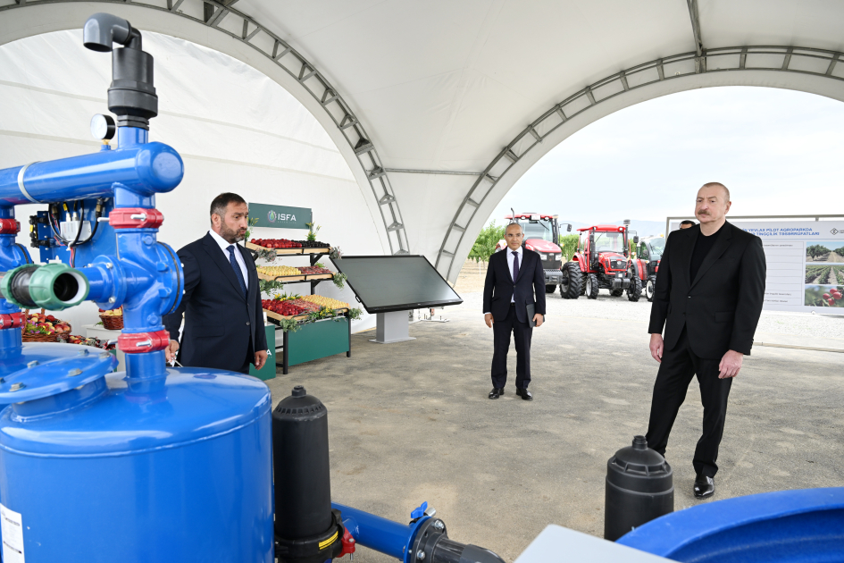 Prezident İlham Əliyev Yevlax pilot aqroparkının açılışında iştirak edib (YENİLƏNİB) (FOTO)