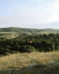 Heydər Əliyev Fondunun vitse-prezidenti Leyla Əliyeva və Bakı Media Mərkəzinin rəhbəri Arzu Əliyeva Altıağac Milli Parkını ziyarət ediblər (FOTO)