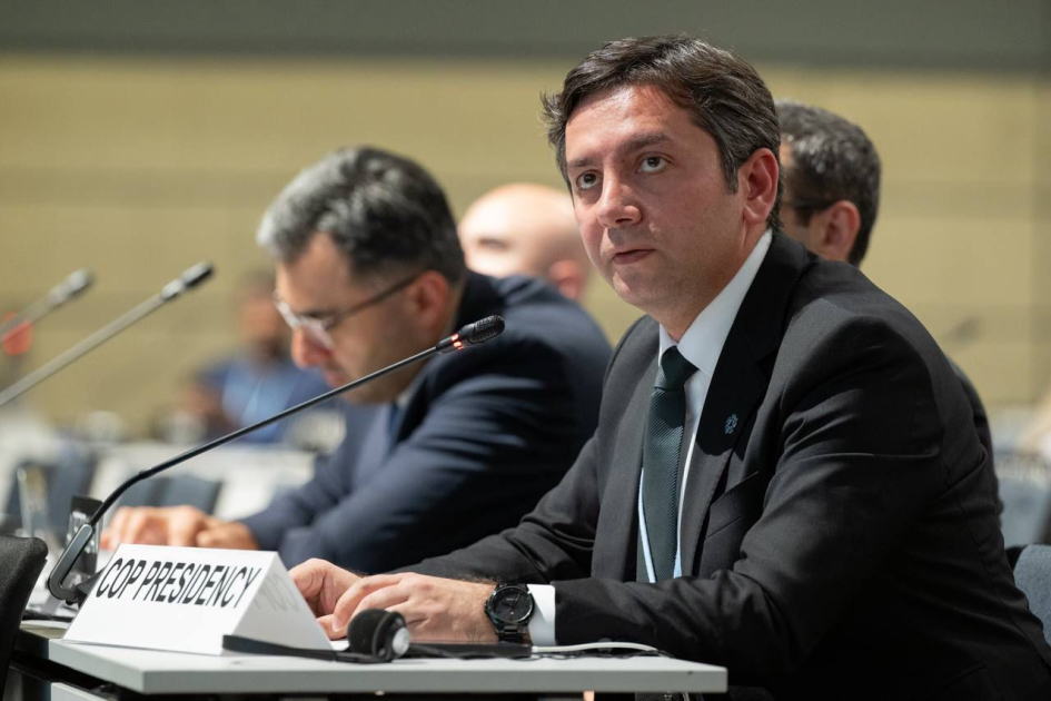 Hər bir COP özündən əvvəlkiləri tamamlayır - Yalçın Rəfiyev (FOTO)