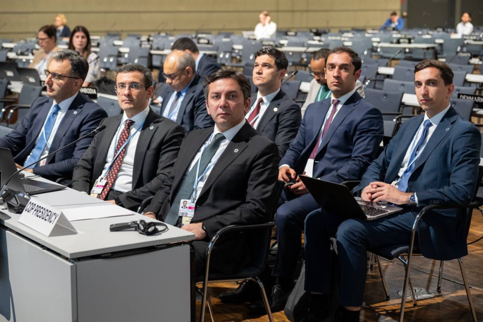Hər bir COP özündən əvvəlkiləri tamamlayır - Yalçın Rəfiyev (FOTO)