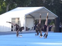 Bakıda “Gimnastika hamı üçün” növü üzrə beynəlxalq turnirin açılış mərasimi olub (FOTO)