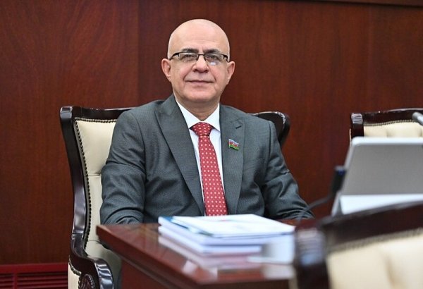 Zatulinin ritorikasının Rusiya Dövlət Dumasının mövqeyi kimi təqdim edilməsi məqsədyönlüdür - Azərbaycanlı deputat – Elçin Mirzəbəyli