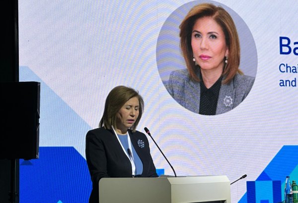 Qadınların iqtisadi imkanlarının artırılması cəmiyyətin ümumi inkişaf səviyyəsinin göstəricisidir- Bahar Muradova