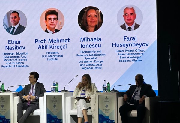 Qadınların əmək bazarında müvafiq yerə sahib olması diqqət mərkəzindədir - AİB nümayəndəsi