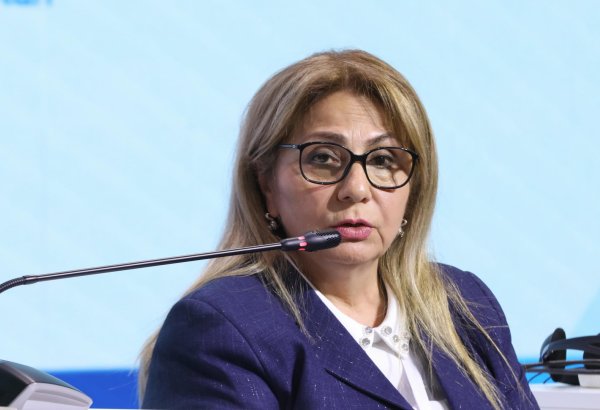 İşğaldan azad olmuş 8 şəhərin baş planı hazırlanıb - Gülşən Rzayeva
