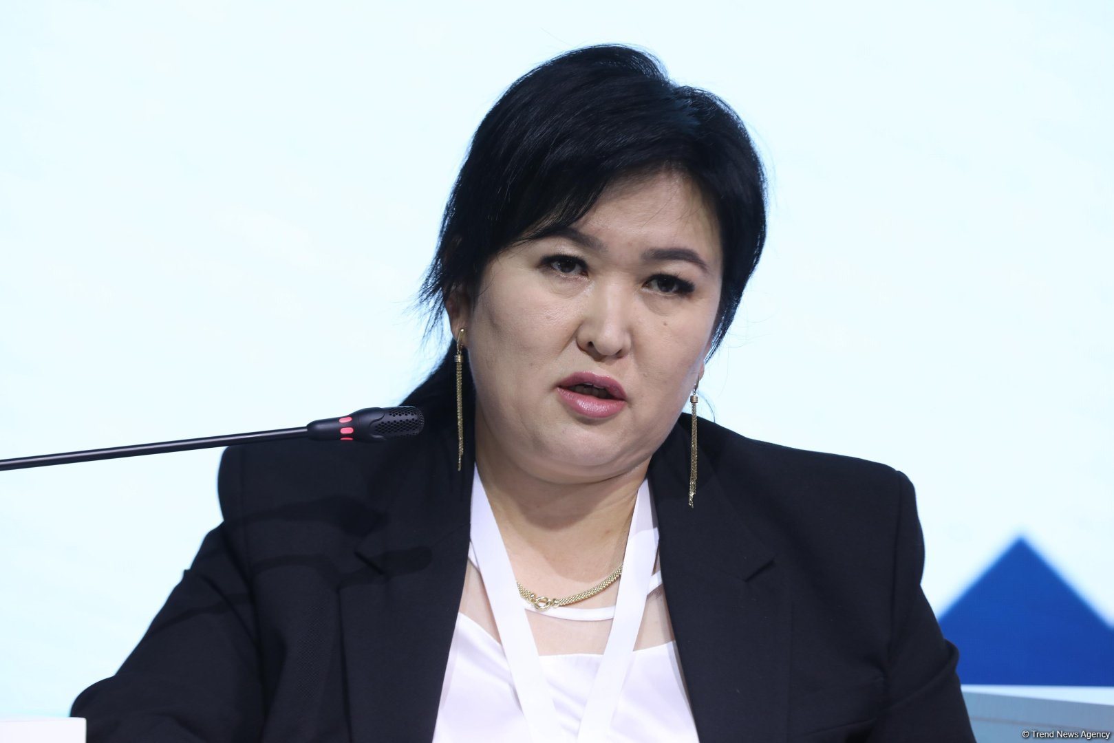 Laçında "Dayanıqlı İnkişafda Qadınların Rolu" mövzusunda panel sessiya keçirilib (FOTO)