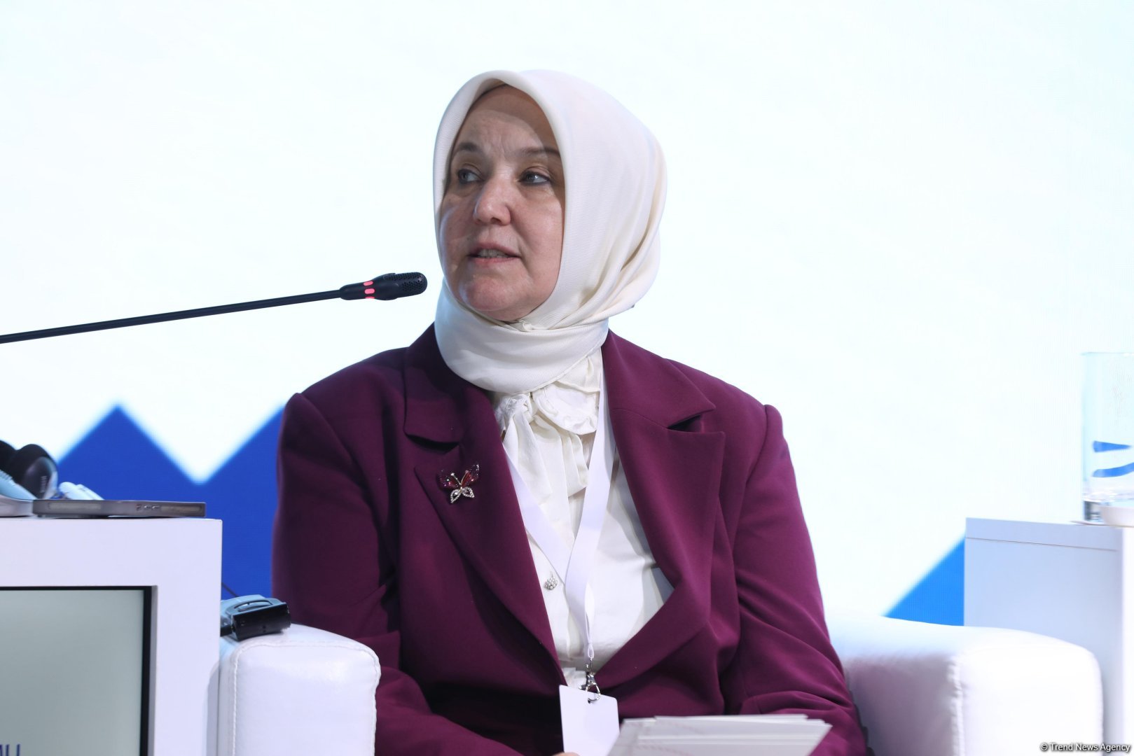 Laçında "Dayanıqlı İnkişafda Qadınların Rolu" mövzusunda panel sessiya keçirilib (FOTO)