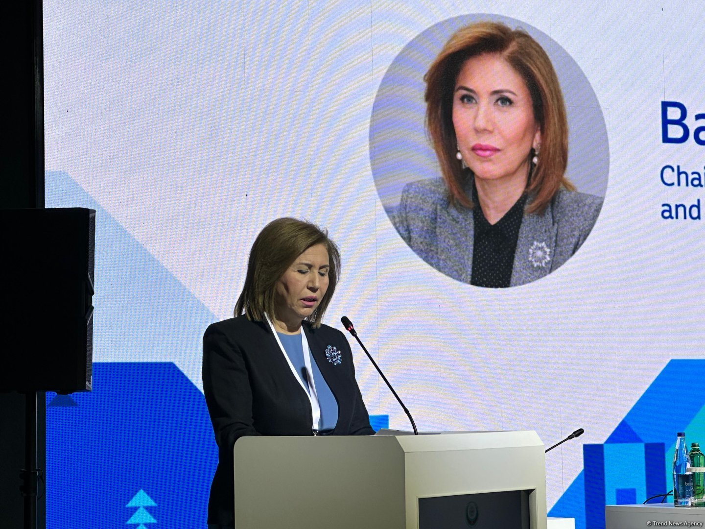 Qadınların iqtisadi imkanlarının artırılması cəmiyyətin ümumi inkişaf səviyyəsinin göstəricisidir - Bahar Muradova