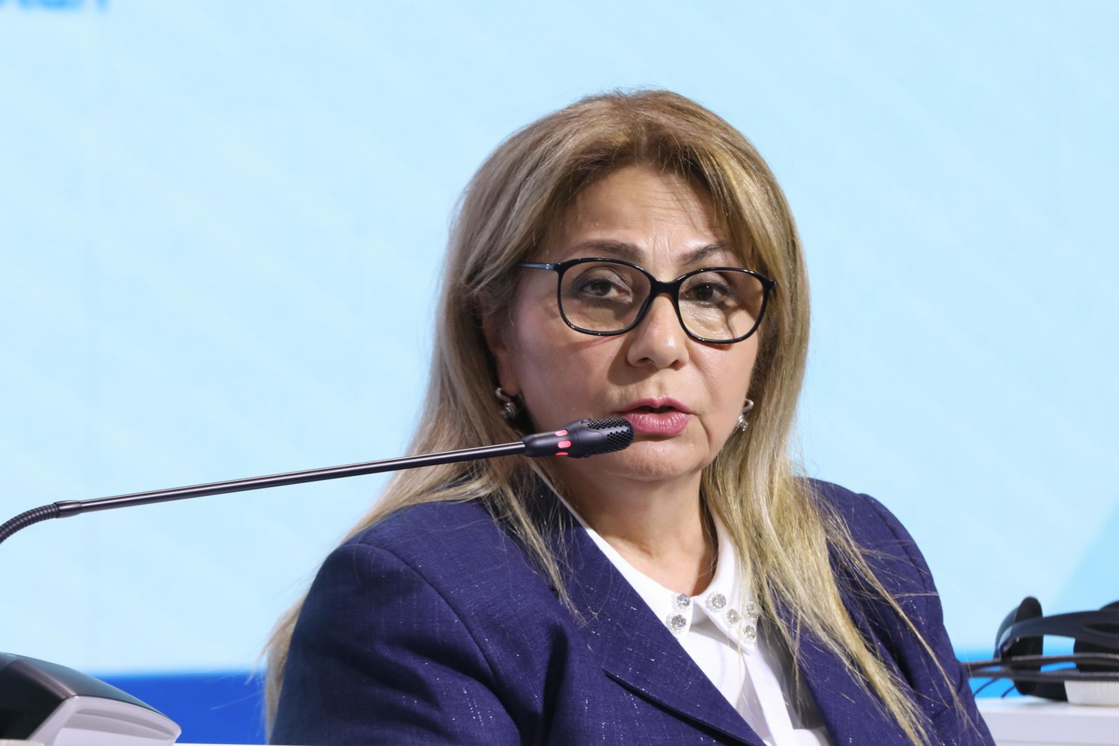 İşğaldan azad olmuş 8 şəhərin baş planı hazırlanıb - Gülşən Rzayeva