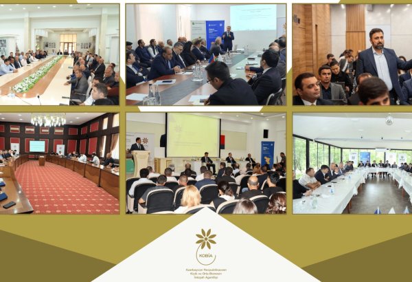 2025-ci ilin birinci yarısında sahibkarlarla 70-ə yaxın sahəvi və maarifləndirici görüşlər keçirilib (FOTO)
