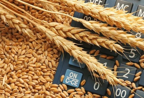 Azərbaycan ötən ay buğda idxalını artırıb