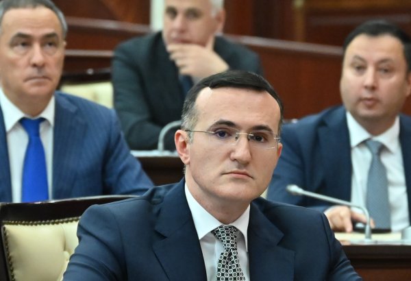 “Xüsusi icra məmurları haqqında” Qanun layihəsinin məqsədi mövcud dövlət icra sisteminə dəstək verməkdir – Nazir müavini