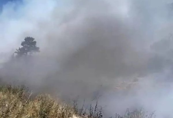 Türkiyədə meşə yanğınları: Çeşmədəki yanğın lokallaşdırılıb (FOTO)