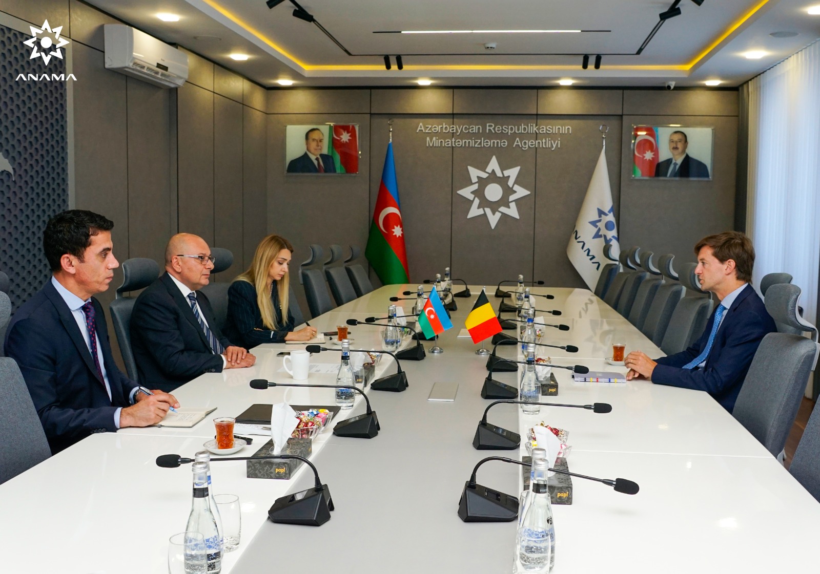 Azərbaycan və Belçika arasında mina təhlükəsi ilə mübarizə sahəsində əməkdaşlıq imkanları müzakirə edilib (FOTO)