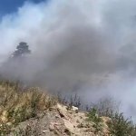 Türkiyədə meşə yanğınları: Çeşmədəki yanğın lokallaşdırılıb (FOTO)