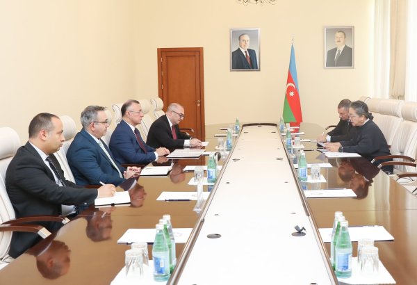 Səhiyyə Nazirliyində BMT-nin İqtisadi və Sosial Komissiyasının İcraçı katibi ilə görüş keçirilib (FOTO)