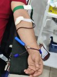 Aşura günü ilə əlaqədar qanvermə aksiyası başlayıb (FOTO)
