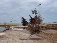 Qala Dövlət Tarix-Etnoqrafiya Qoruğunda genişmiqyaslı iməcilik aksiyası təşkil olunub (FOTO)