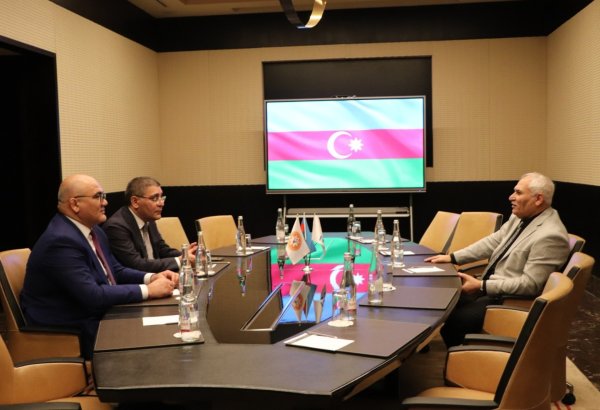 AAF-ın vitse-prezidenti IWF-in “Məsləhət qrupu”nda yer alacaq
