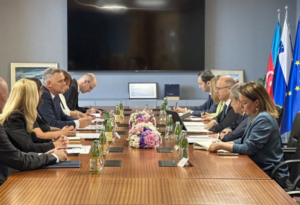 Azərbaycanın Sloveniyaya qaz tədarükünün artırılması müzakirə edilib (FOTO)