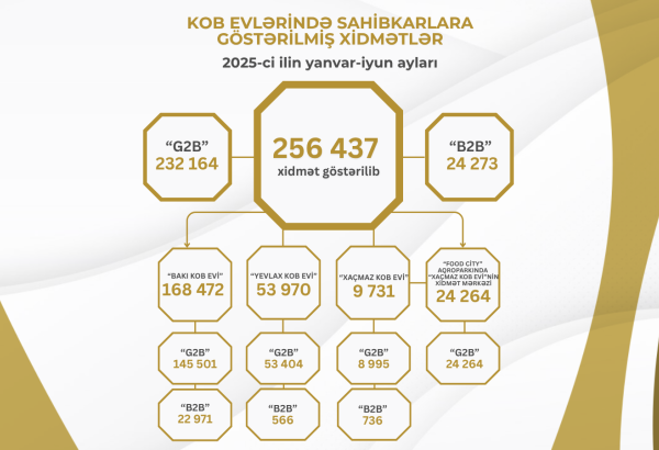 Bu ilin I yarısında KOB evlərində sahibkarlara 260 minə yaxın xidmət göstərilib