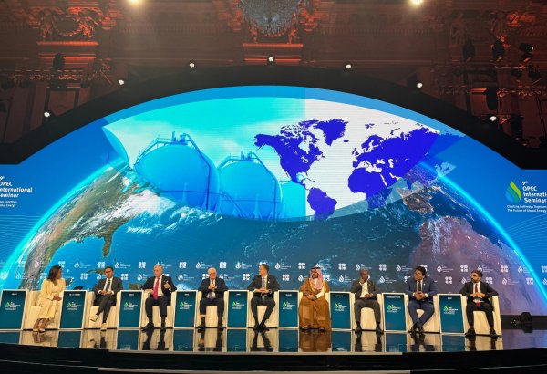 SOCAR-ın prezidenti Vyanada keçirilən 9-cu OPEC beynəlxalq seminarında iştirak edib (FOTO)