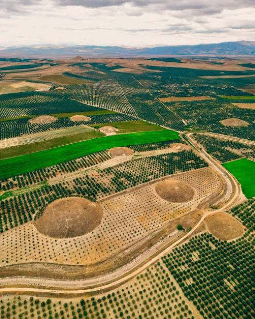 Türkiyənin Manisa vilayətində yerləşən abidələr UNESCO-nun Dünya İrs Siyahısına daxil edilib