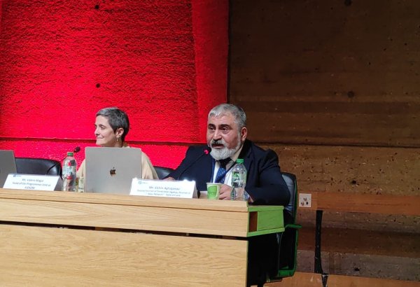 Azərbaycanlı jurnalistlər Qarabağda erməni təcavüzünün qurbanına çevriliblər – “Baku Network” rəhbəri UNESCO-da (FOTO)