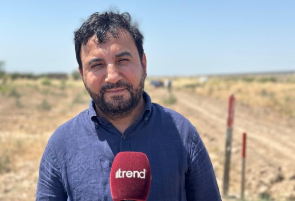 Dövlətin bu qədər genişmiqyaslı işi öz hesabına görməsi səyyahları təəccübləndirir - Təşkilatçı