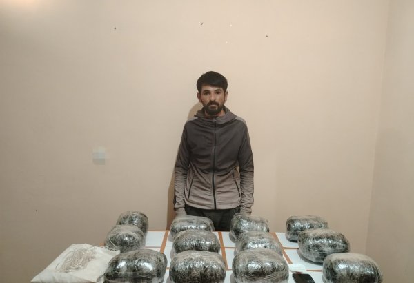 Ölkə ərazisinə külli miqdarda narkotik vasitənin keçirilməsinin qarşısı alınıb - DSX