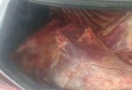 Ağdamda 120 kiloqramadək istehlaka yararsız iribuynuzlu heyvan cəmdəyi aşkarlanıb (FOTO)