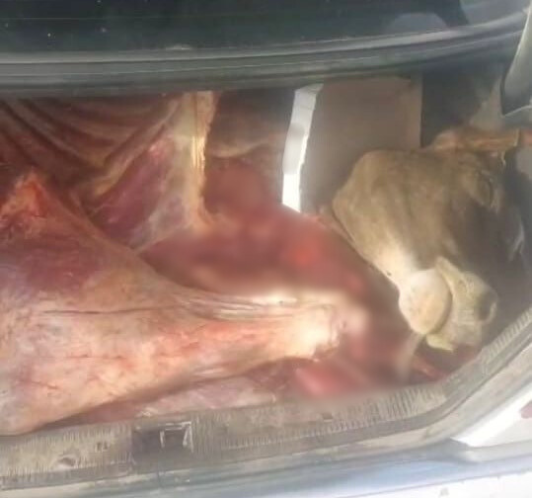 Ağdamda 120 kiloqramadək istehlaka yararsız iribuynuzlu heyvan cəmdəyi aşkarlanıb (FOTO)