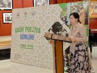 Gəncədə Vaqif Poeziya Günləri keçirilib (FOTO)
