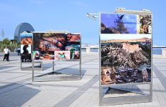 Heydər Əliyev Fondunun vitse-prezidenti Leyla Əliyeva Azərbaycanda təbiətin mühafizəsinin 100 illiyinə həsr olunmuş fotosərginin açılışında iştirak edib (FOTO)